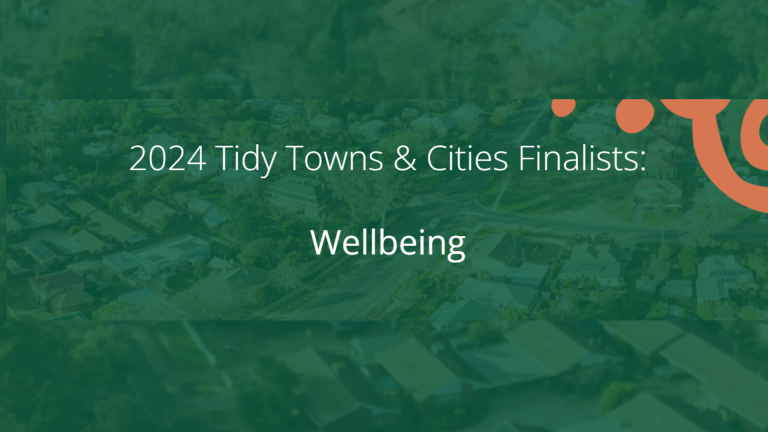 STEM Sister’s Dress To Express 2024 Tidy Cities Finalists Wellbeing